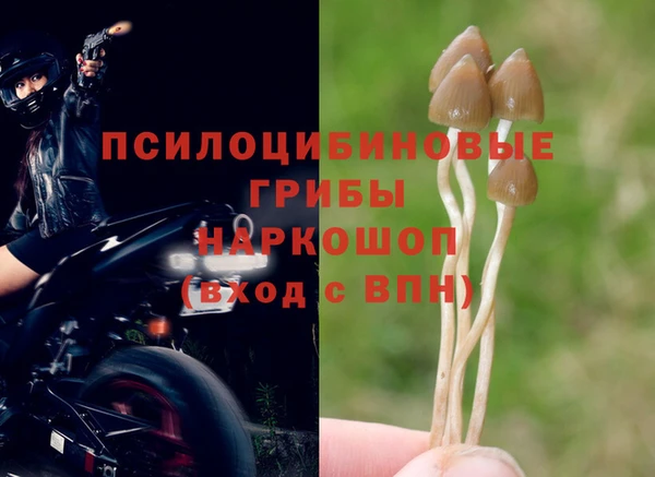 гидра Абинск